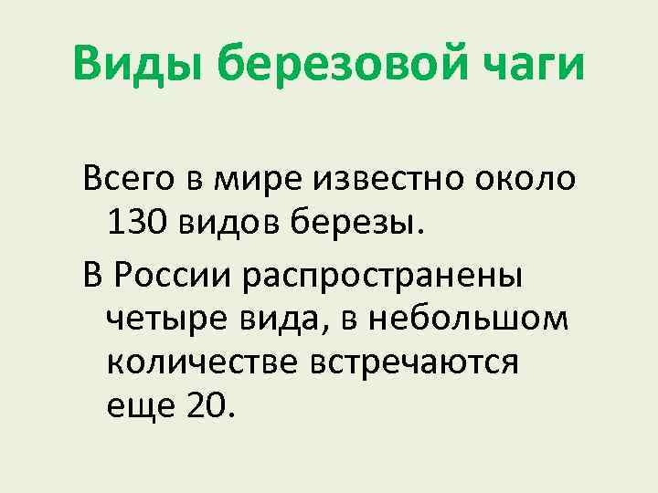 Виды березовой чаги Всего в мире известно около 130 видов березы. В России распространены