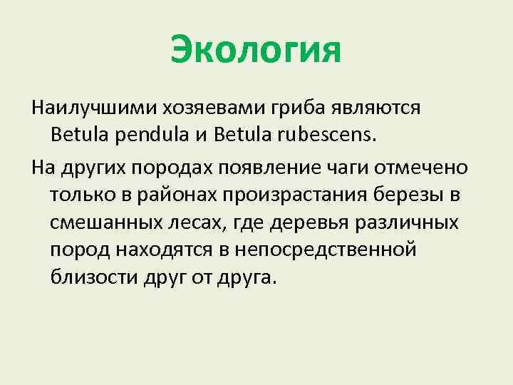 Экология Наилучшими хозяевами гриба являются Betula pendula и Betula rubescens. На других породах появление