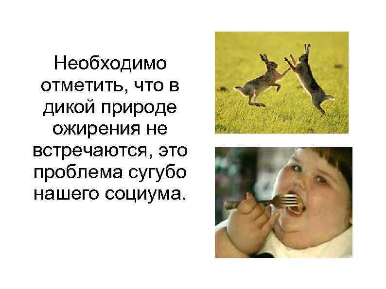 Необходимо отметить, что в дикой природе ожирения не встречаются, это проблема сугубо нашего социума.