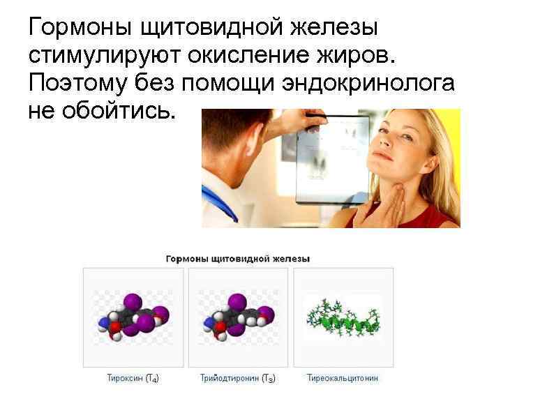 Гормоны щитовидной железы стимулируют окисление жиров. Поэтому без помощи эндокринолога не обойтись. 