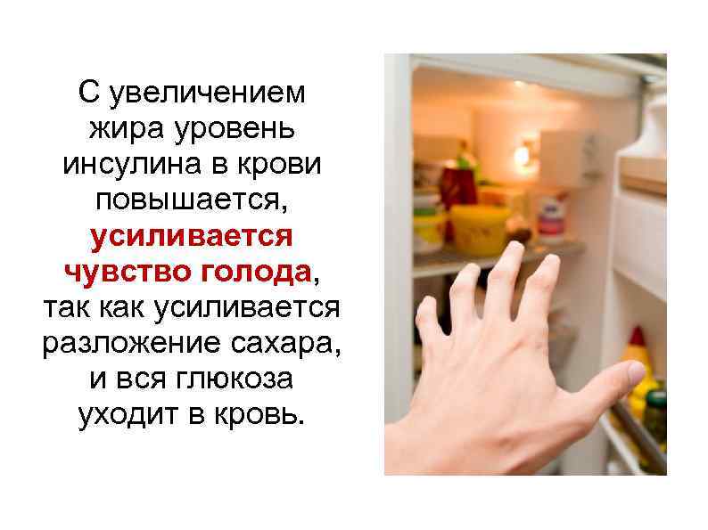 С увеличением жира уровень инсулина в крови повышается, усиливается чувство голода, так как усиливается