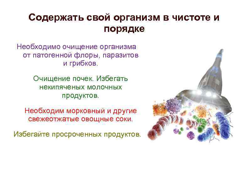 Содержать свой организм в чистоте и порядке Необходимо очищение организма от патогенной флоры, паразитов