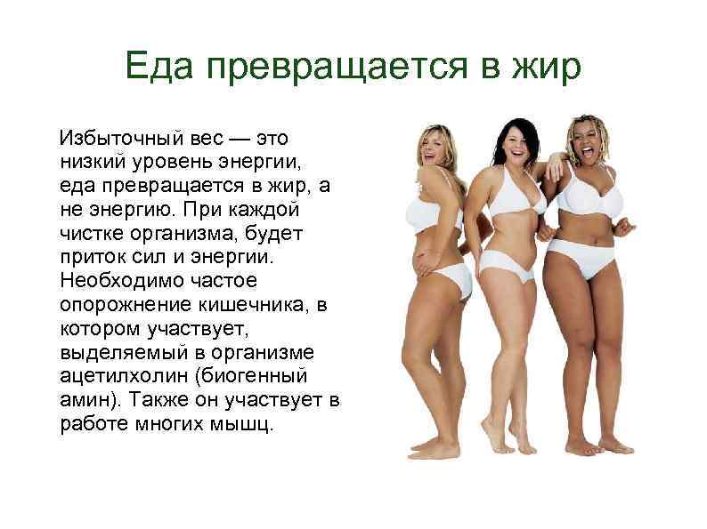 Еда превращается в жир Избыточный вес — это низкий уровень энергии, еда превращается в