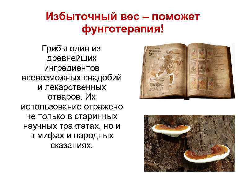 Избыточный вес – поможет фунготерапия! Грибы один из древнейших ингредиентов всевозможных снадобий и лекарственных