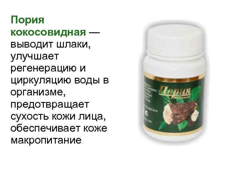 Пория кокосовидная — выводит шлаки, улучшает регенерацию и циркуляцию воды в организме, предотвращает сухость