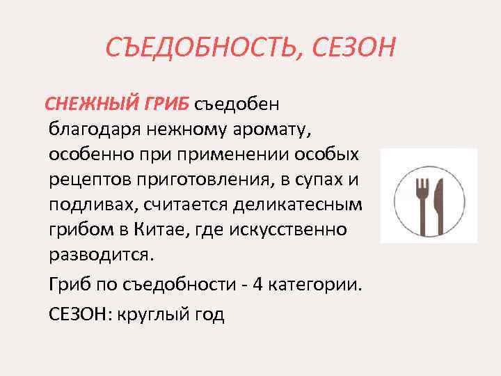 СЪЕДОБНОСТЬ, СЕЗОН СНЕЖНЫЙ ГРИБ съедобен благодаря нежному аромату, особенно применении особых рецептов приготовления, в