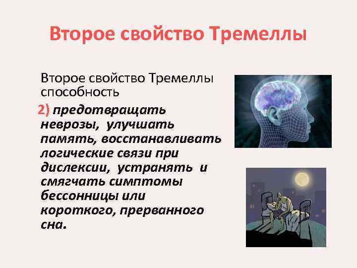 Второе свойство Тремеллы способность 2) предотвращать неврозы, улучшать память, восстанавливать логические связи при дислексии,