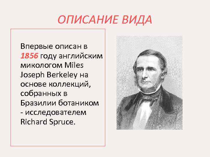 ОПИСАНИЕ ВИДА Впервые описан в 1856 году английским микологом Miles Joseph Berkeley на основе