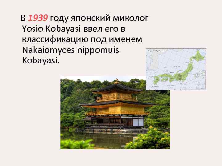  В 1939 году японский миколог Yosio Kobayasi ввел его в классификацию под именем