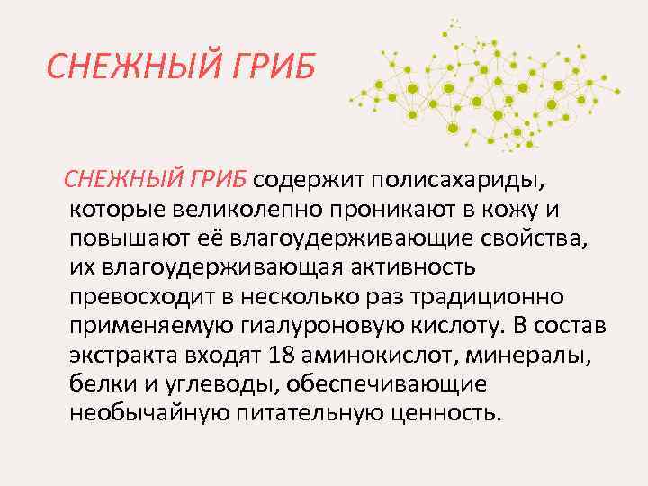 СНЕЖНЫЙ ГРИБ содержит полисахариды, которые великолепно проникают в кожу и повышают её влагоудерживающие свойства,