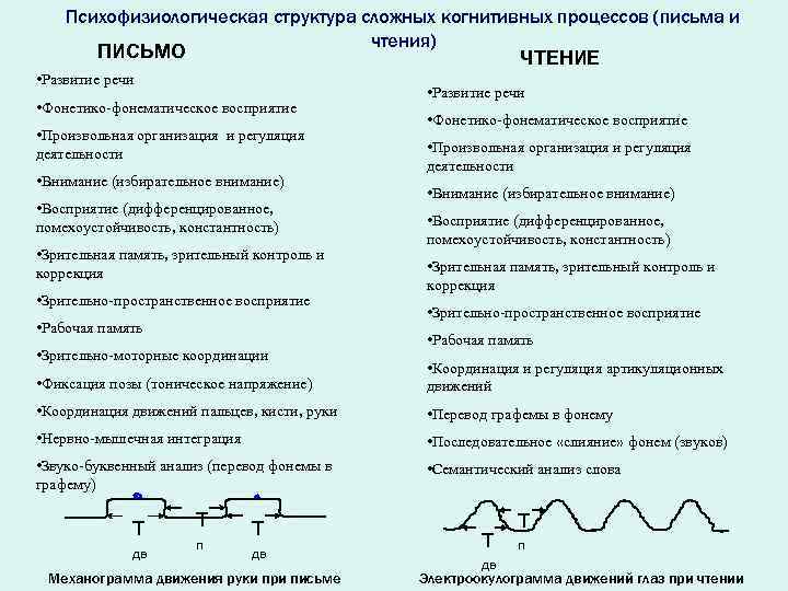 Психофизиологическая структура сложных когнитивных процессов (письма и чтения) ПИСЬМО ЧТЕНИЕ • Развитие речи •