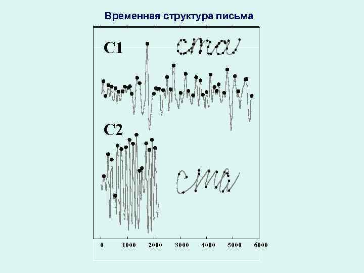 Временная структура письма C 1 C 2 0 1000 2000 3000 4000 5000 6000