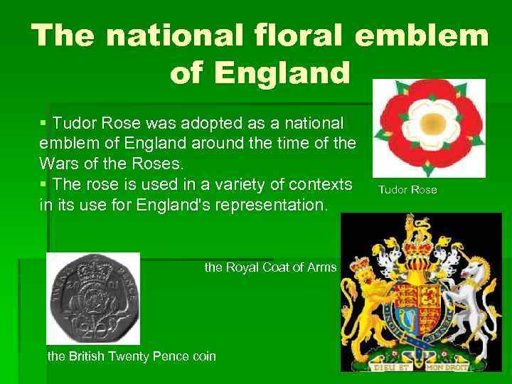 The national floral emblem of England § Tudor Rose was adopted as a national