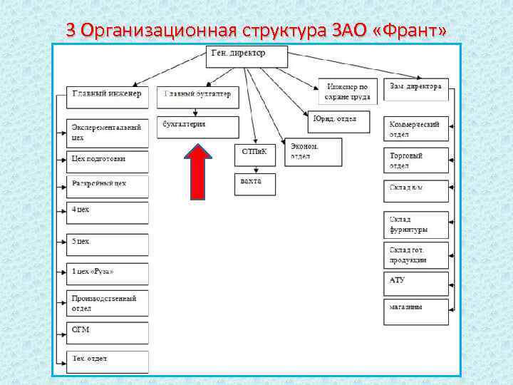 3 Организационная структура ЗАО «Франт» 