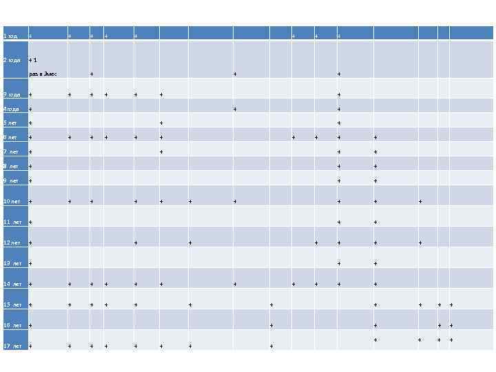 1 год + + + 2 года + 1 раз в 3 мес +