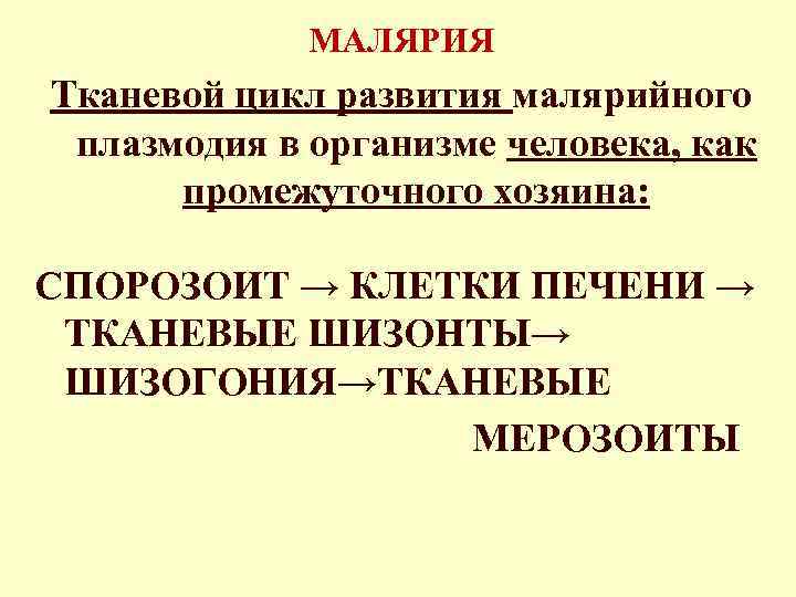 МАЛЯРИЯ Тканевой цикл развития малярийного плазмодия в организме человека, как промежуточного хозяина: СПОРОЗОИТ →