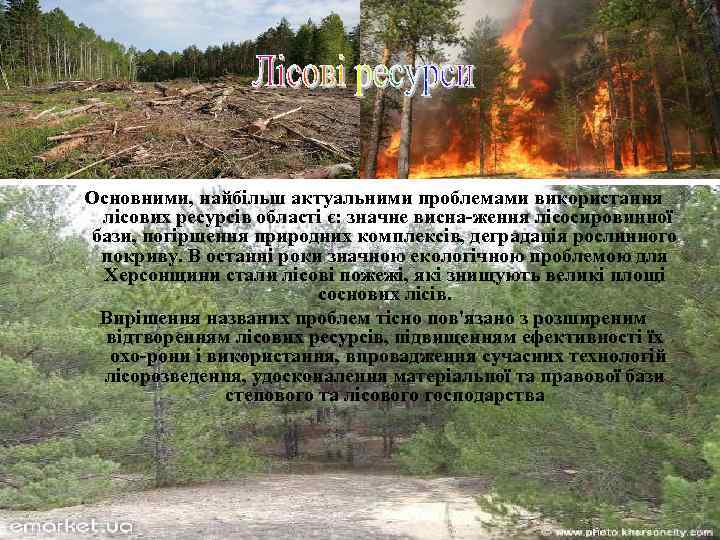 Основними, найбільш актуальними проблемами використання лісових ресурсів області є: значне висна ження лісосировинної бази,