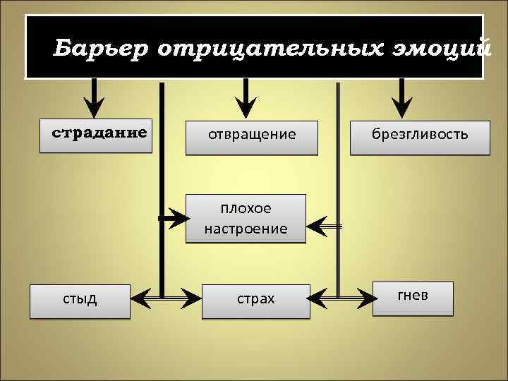 Барьер отрицательных эмоций страдание отвращение брезгливость плохое настроение стыд страх гнев 