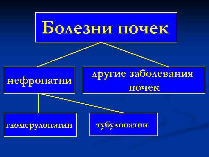 Болезни почек нефропатии гломерулопатии другие заболевания почек тубулопатии 