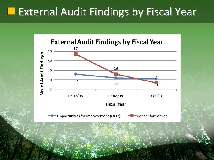 External Audit Findings by Fiscal Year 