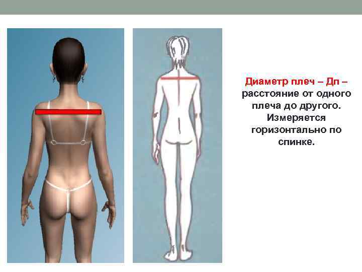 Диаметр плеч – Дп – расстояние от одного плеча до другого. Измеряется горизонтально по