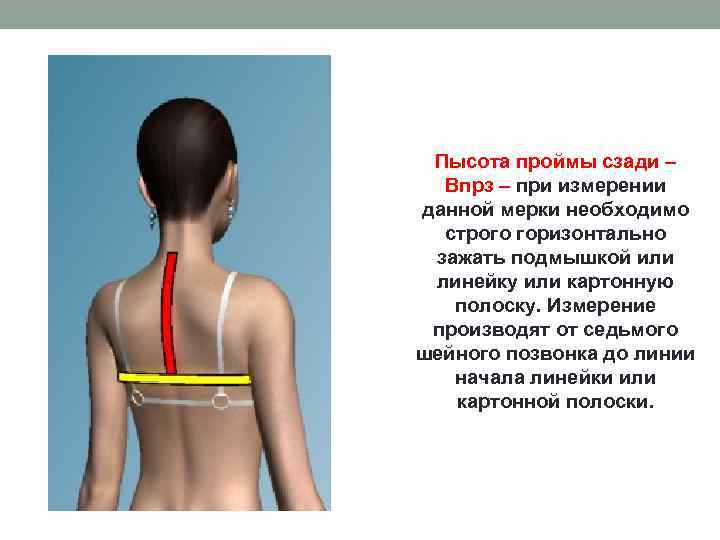 Пысота проймы сзади – Впрз – при измерении данной мерки необходимо строго горизонтально зажать