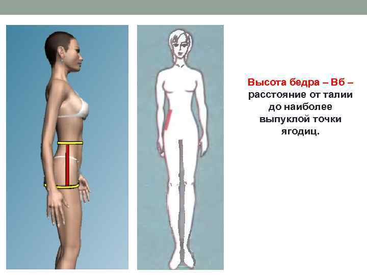 Высота бедра – Вб – расстояние от талии до наиболее выпуклой точки ягодиц. 