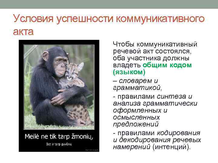 Условия успешности коммуникативного акта Чтобы коммуникативный речевой акт состоялся, оба участника должны владеть общим