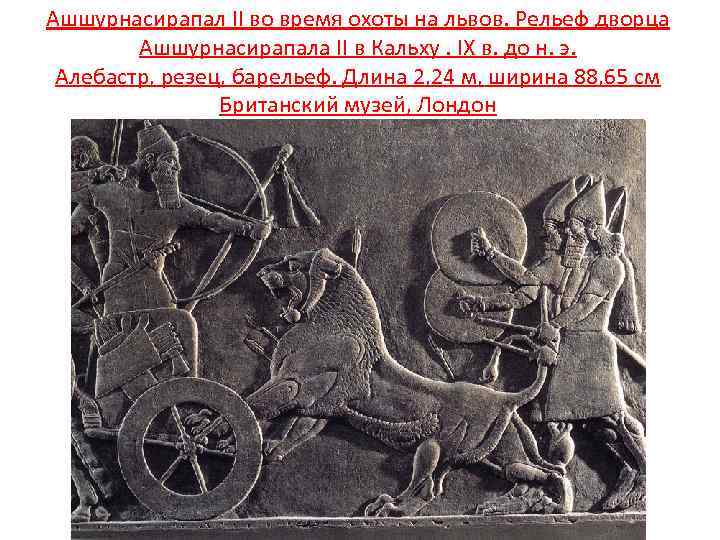 Ашшурнасирапал II во время охоты на львов. Рельеф дворца Ашшурнасирапала II в Кальху. IX