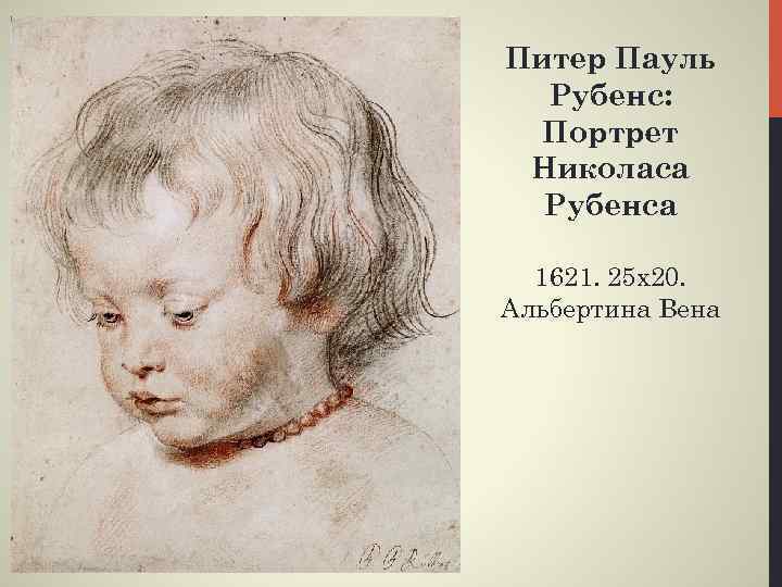 Питер Пауль Рубенс: Портрет Николаса Рубенса 1621. 25 х20. Альбертина Вена 