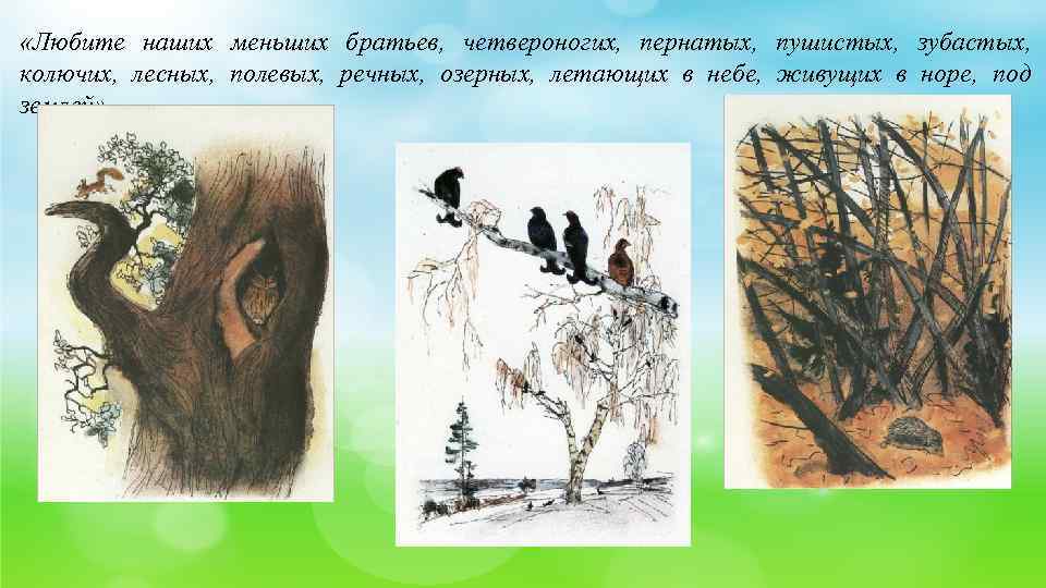  «Любите наших меньших братьев, четвероногих, пернатых, пушистых, зубастых, колючих, лесных, полевых, речных, озерных,
