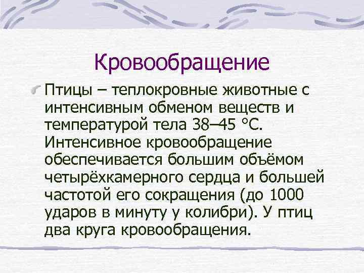 Кровообращение Птицы – теплокровные животные с интенсивным обменом веществ и температурой тела 38– 45