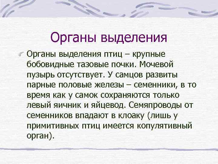 Органы выделения птиц – крупные бобовидные тазовые почки. Мочевой пузырь отсутствует. У самцов развиты