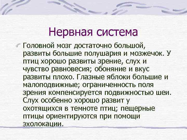 Нервная система Головной мозг достаточно большой, развиты большие полушария и мозжечок. У птиц хорошо