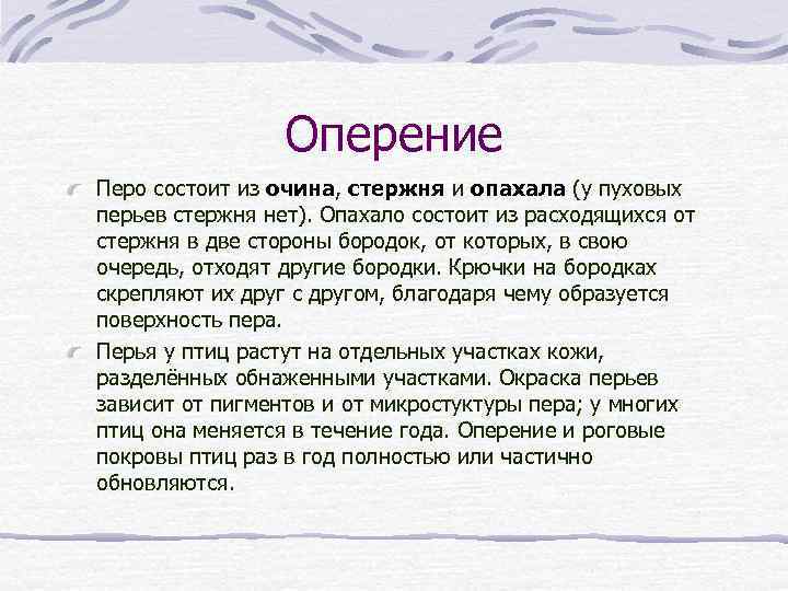 Оперение Перо состоит из очина, стержня и опахала (у пуховых перьев стержня нет). Опахало