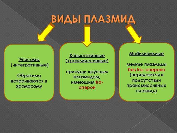 ВИДЫ ПЛАЗМИД Эписомы (интегративные) Обратимо встраиваются в хромосому Коньюгативные (трансмиссивные) присущи крупным плазмидам, имеющим