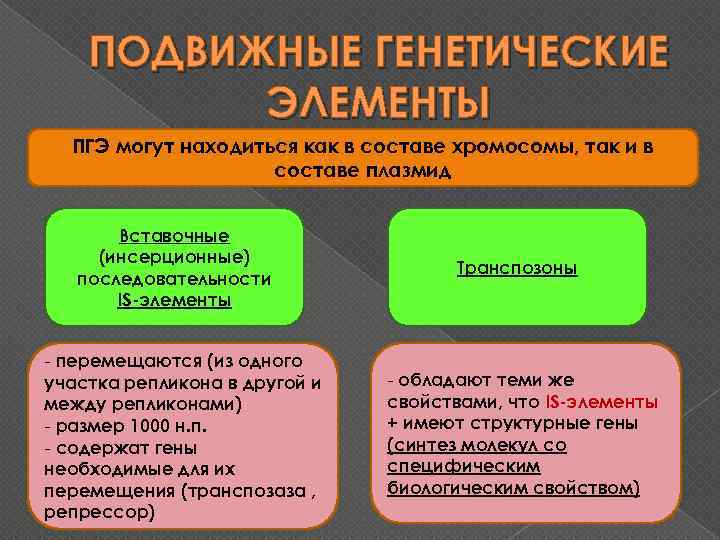 ПОДВИЖНЫЕ ГЕНЕТИЧЕСКИЕ ЭЛЕМЕНТЫ ПГЭ могут находиться как в составе хромосомы, так и в составе