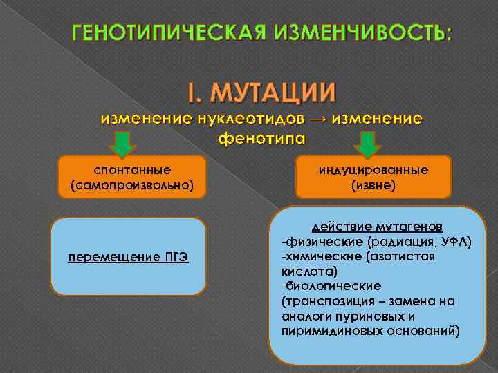 Мутации презентация 9 класс