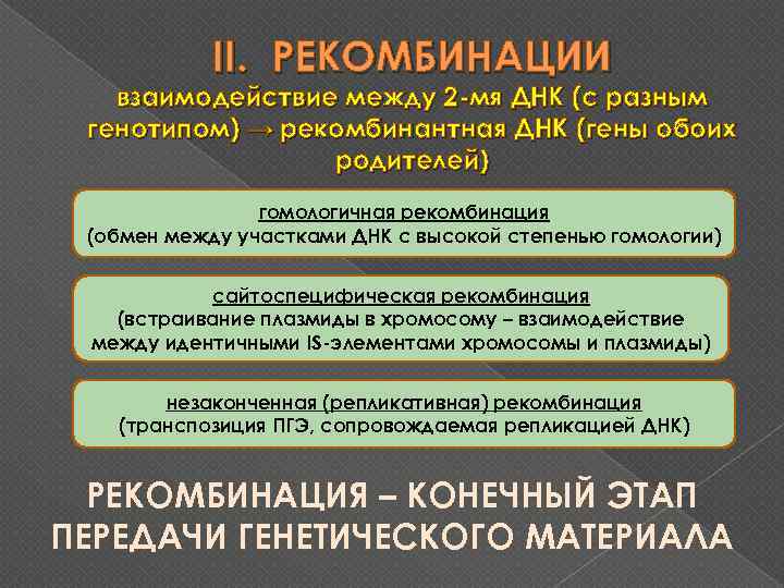 II. РЕКОМБИНАЦИИ взаимодействие между 2 -мя ДНК (с разным генотипом) → рекомбинантная ДНК (гены