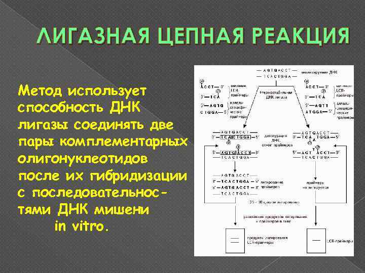 ЛИГАЗНАЯ ЦЕПНАЯ РЕАКЦИЯ Метод использует способность ДНК лигазы соединять две пары комплементарных олигонуклеотидов после