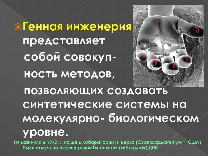  Генная инженерия представляет собой совокупность методов, позволяющих создавать синтетические системы на молекулярно- биологическом