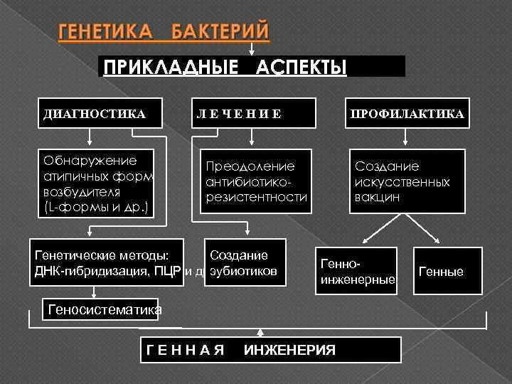 ГЕНЕТИКА БАКТЕРИЙ ПРИКЛАДНЫЕ АСПЕКТЫ ДИАГНОСТИКА ЛЕЧЕНИЕ Обнаружение атипичных форм возбудителя (L-формы и др. )