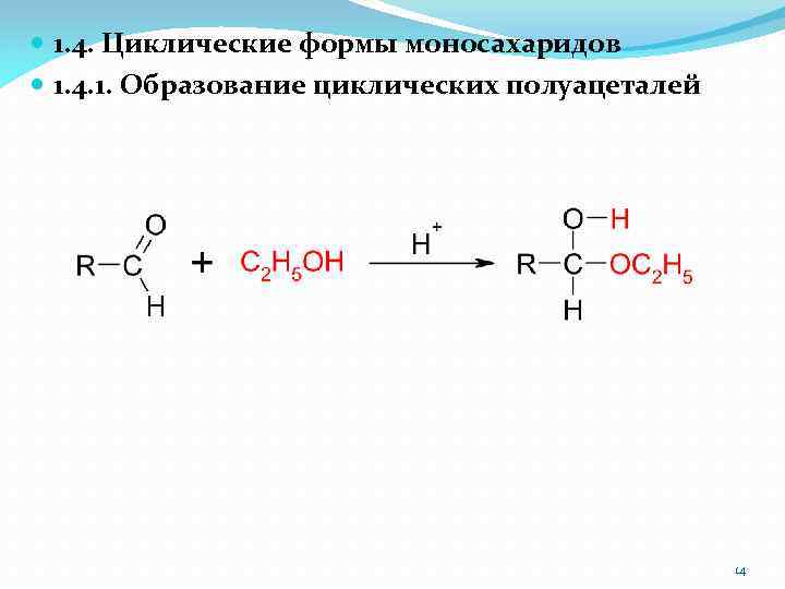  1. 4. Циклические формы моносахаридов 1. 4. 1. Образование циклических полуацеталей 14 