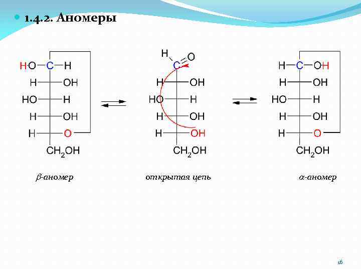  1. 4. 2. Аномеры b-аномер открытая цепь a-аномер 16 