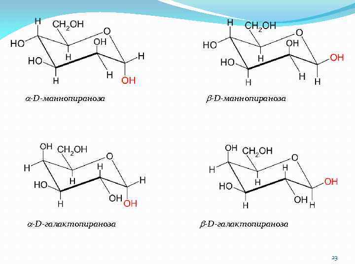 a-D-маннопираноза a-D-галактопираноза b-D-маннопираноза b-D-галактопираноза 23 