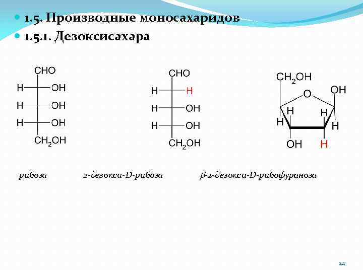  1. 5. Производные моносахаридов 1. 5. 1. Дезоксисахара рибоза 2 -дезокси-D-рибоза b-2 -дезокси-D-рибофураноза