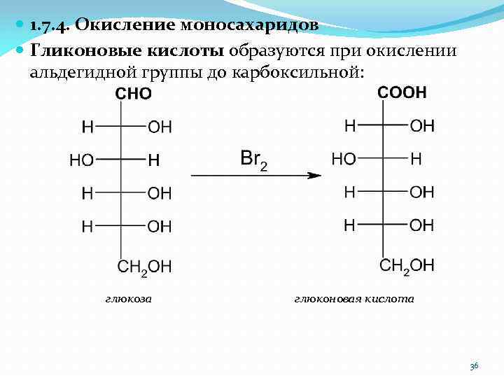  1. 7. 4. Окисление моносахаридов Гликоновые кислоты образуются при окислении альдегидной группы до