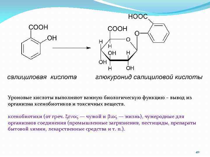 Уроновые кислоты выполняют важную биологическую функцию – вывод из организма ксенобиотиков и токсичных веществ.