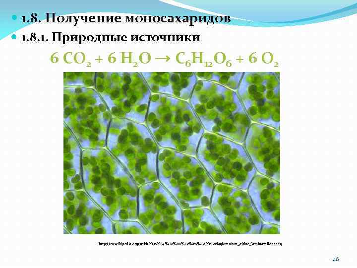  1. 8. Получение моносахаридов 1. 8. 1. Природные источники 6 CO 2 +