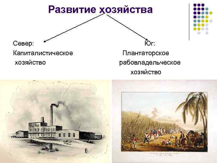 Развитие хозяйства Север: Капиталистическое хозяйство Юг: Плантаторское рабовладельческое хозяйство 